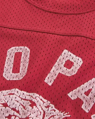 Boxy Crop Mesh Echo Park Graphic Football Jersey,Boxy Crop Mesh Echo Park Graphic Football Jersey Boxy Crop Mesh Echo Park Graphic Football Jersey,Boxy Crop Mesh Echo Park Graphic Football Jersey