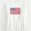Hollister Comfy Cloud American Flag Graphic Crew Sweater,Hollister Comfy Cloud American Flag Graphic Crew Sweater Hollister Comfy Cloud American Flag Graphic Crew Sweater,Hollister Comfy Cloud American Flag Graphic Crew Sweater